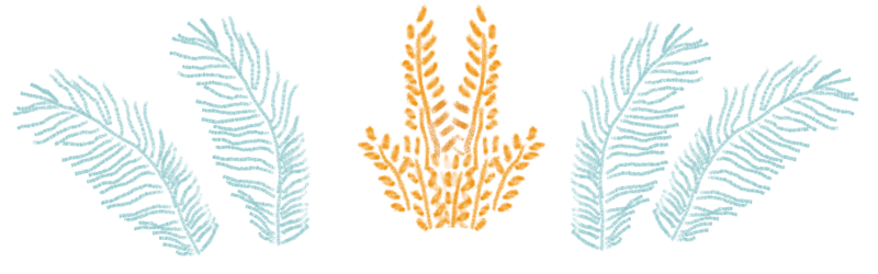 blue-yellowplants.png