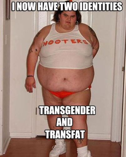 MemeTransFatphobia.jpg